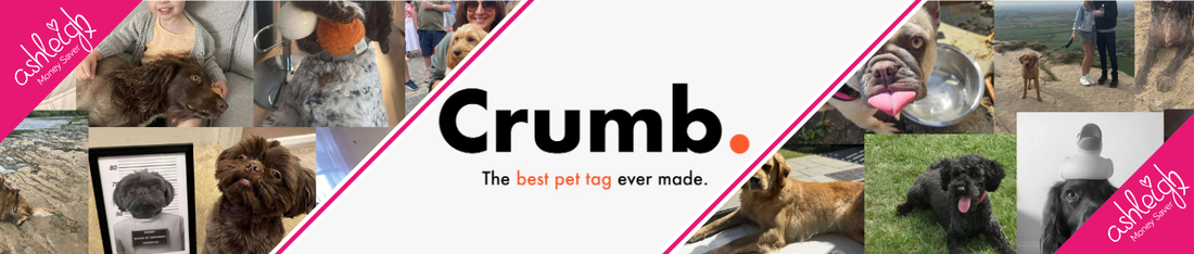 FREE PET TAG!!