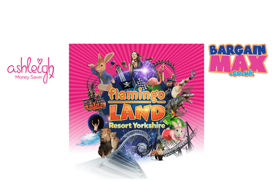 Family Day Out at Flamingo Land? Don't Forget These BargainMax Essentials!🎢