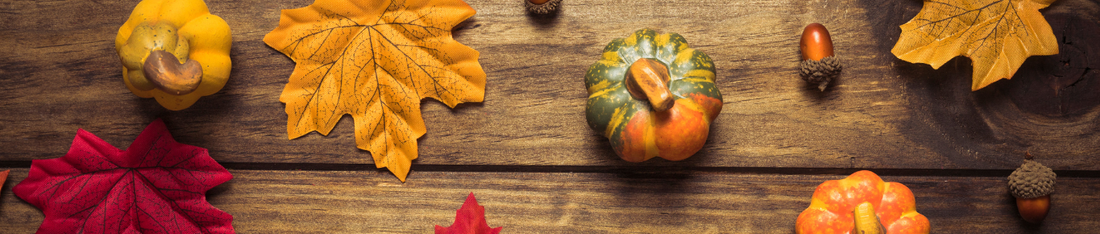 Half-Term Family Deals October 2025: Cheap Days Out & Attraction Discounts