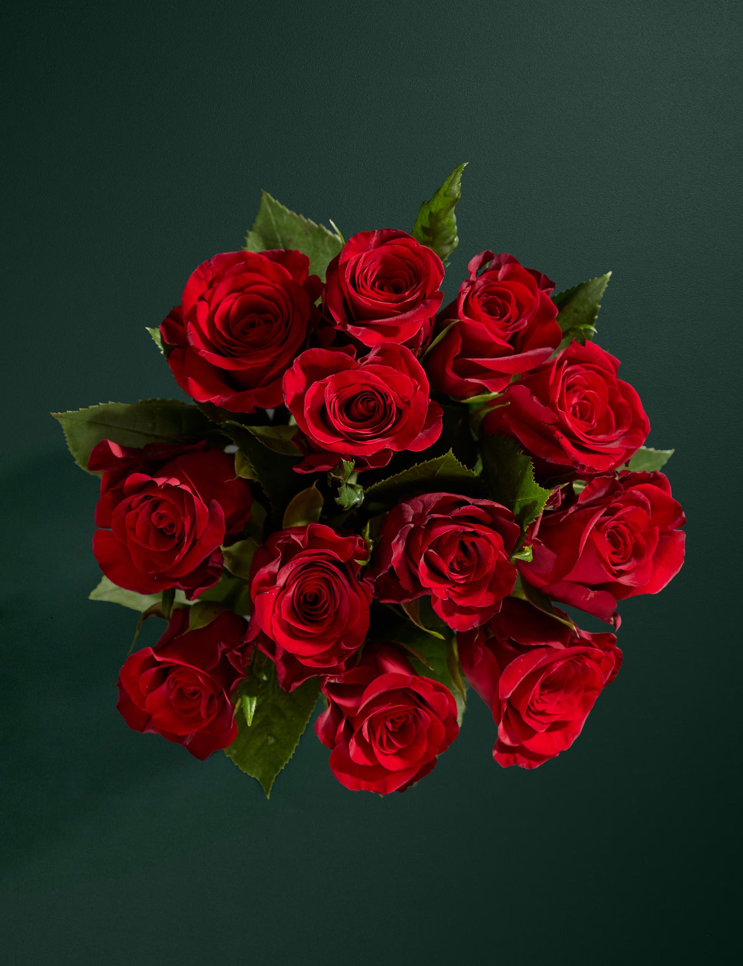 Radiant Rose Abundance Bouquet