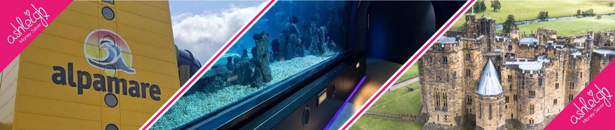 Best Budget UK Family Days Out – Fun for Less!