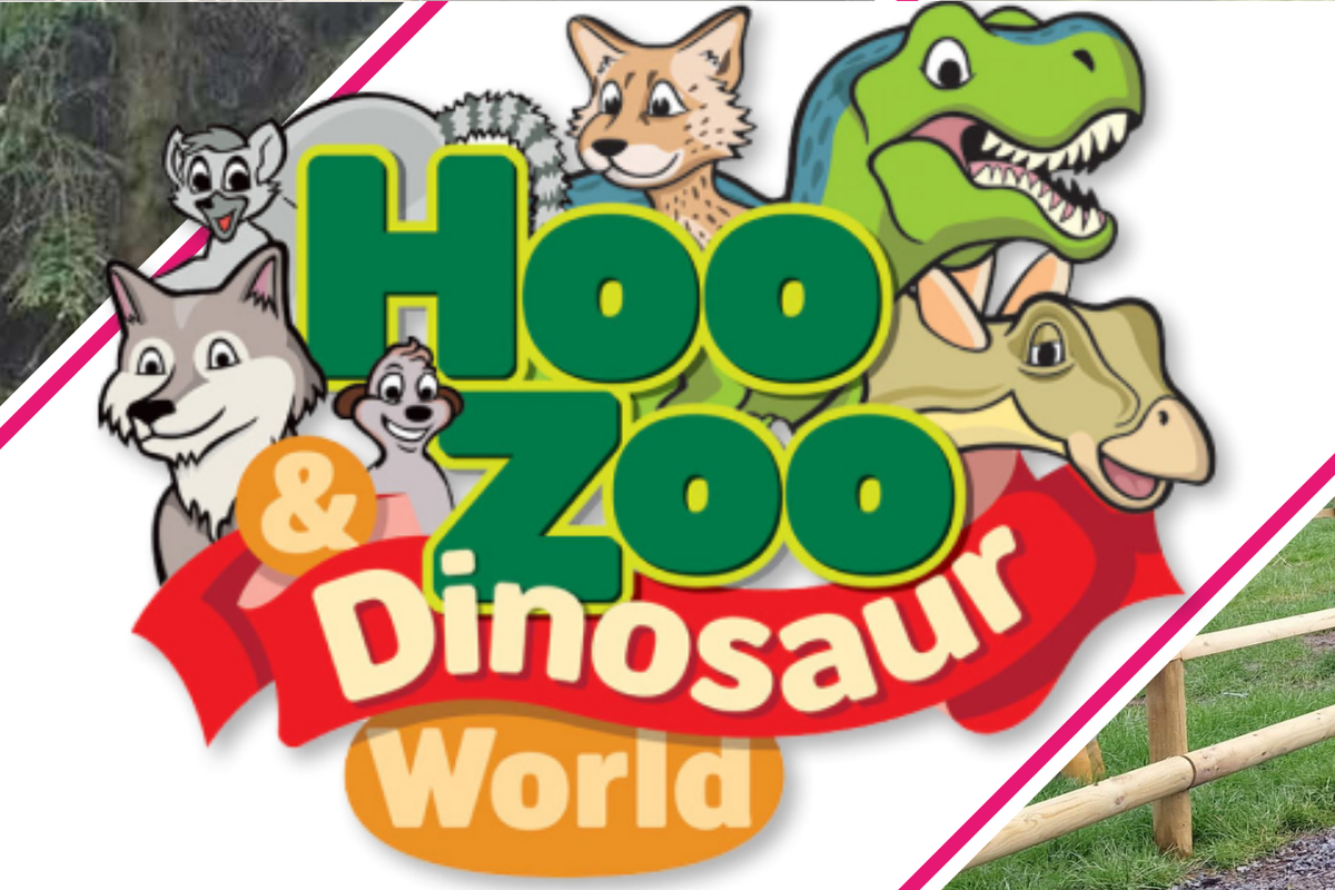Explore Hoo Zoo and Dinosaur World in 2025 - Half Price Family Pass