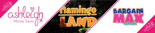 Family Day Out at Flamingo Land? Don't Forget These BargainMax Essentials!🎢