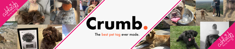 FREE PET TAG!!