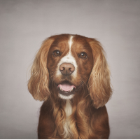 Pre-Christmas Treat: Enjoy a FREE Click Portrait Experience Worth £100+