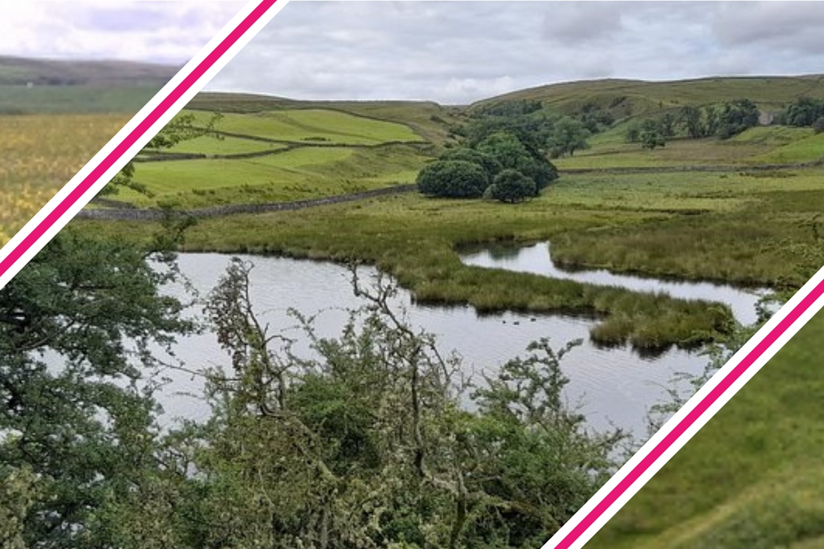 Visit Durham Wildlife Trust Nature Reserves in 2025