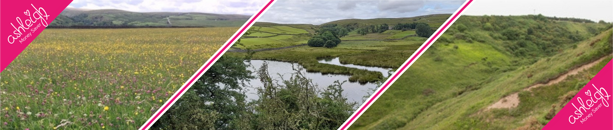 Visit Durham Wildlife Trust Nature Reserves in 2025