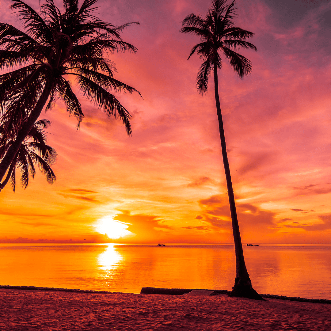 Dry January Made Easy: Expert Tips, Mocktail Recipes & Motivation to Stay Alcohol-Free