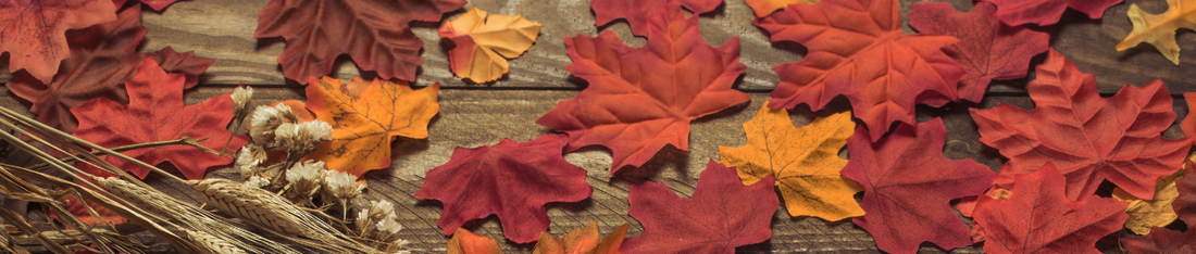 autumn fashion trends
