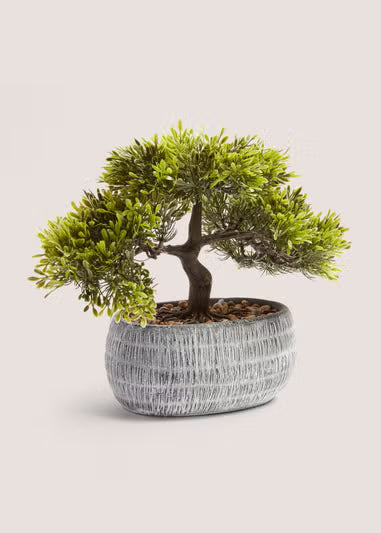 Loft Bonsai Tree (price relevant 28.1.26)