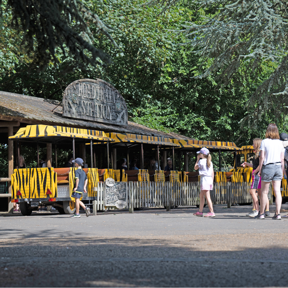 Banham Zoo | Save 30%