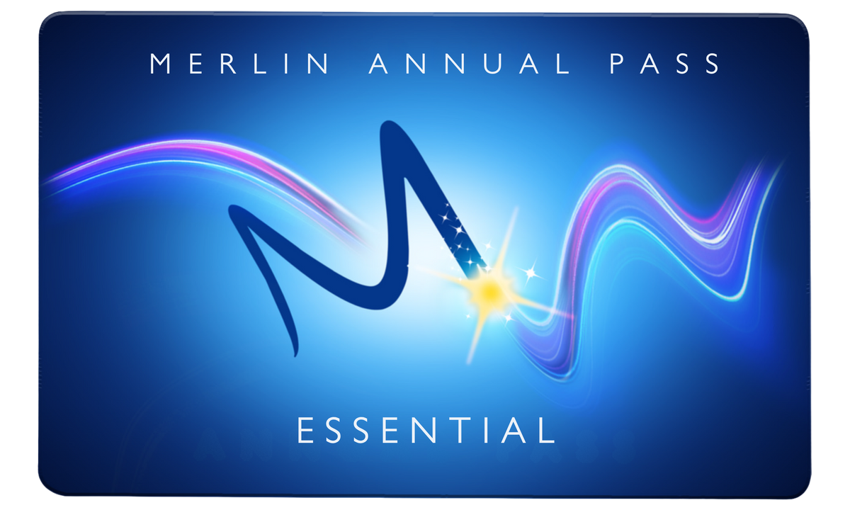Merlin Essential Merlin Annual Pass Black Friday Deals from £79 | Save Big for 2025 ...