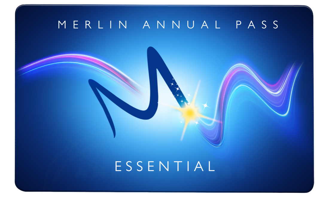 Black Friday Magic: Get a Year of Epic Days Out from Just £79 with a Merlin Annual Pass!