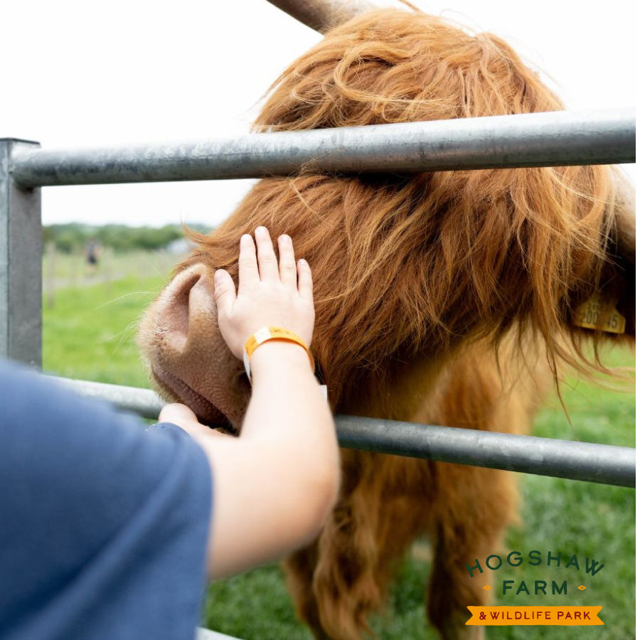 Hogshaw Farm & Wildlife Park Family of 5 Tickets - Save up to 31%