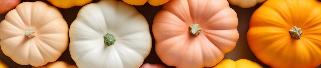 Pumpkin Picking Patches 2025: Affordable days out