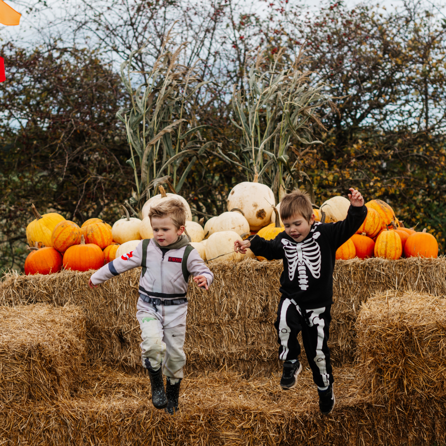 William's Den Trick n Treat Street - Halloween Experience | Save up to 22% on family tickets