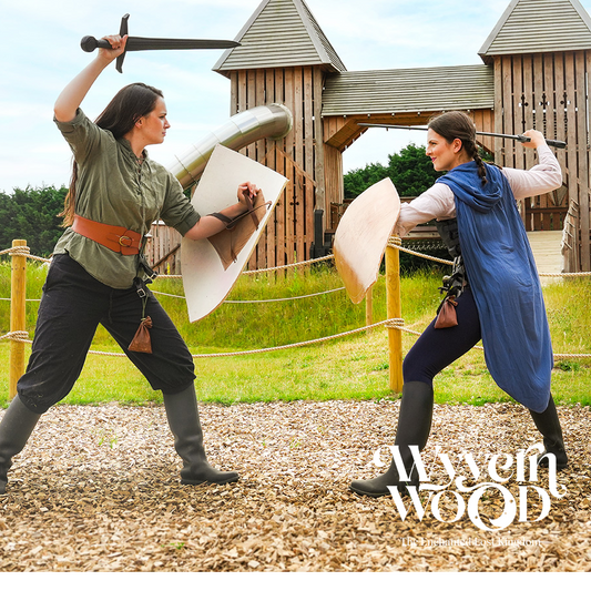 Wyvernwood  | Summer Adventure offer