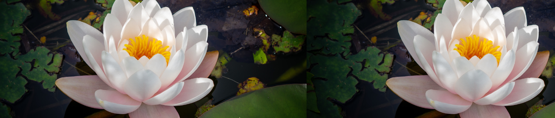 The Spa Guide: Relaxing at the Alpamare Spa & Wellness Area