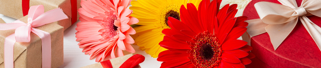 Affordable things to Do on Father’s Day for Families with Young Children