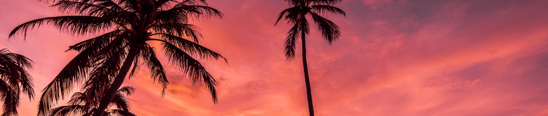 Dry January Made Easy: Expert Tips, Mocktail Recipes & Motivation to Stay Alcohol-Free