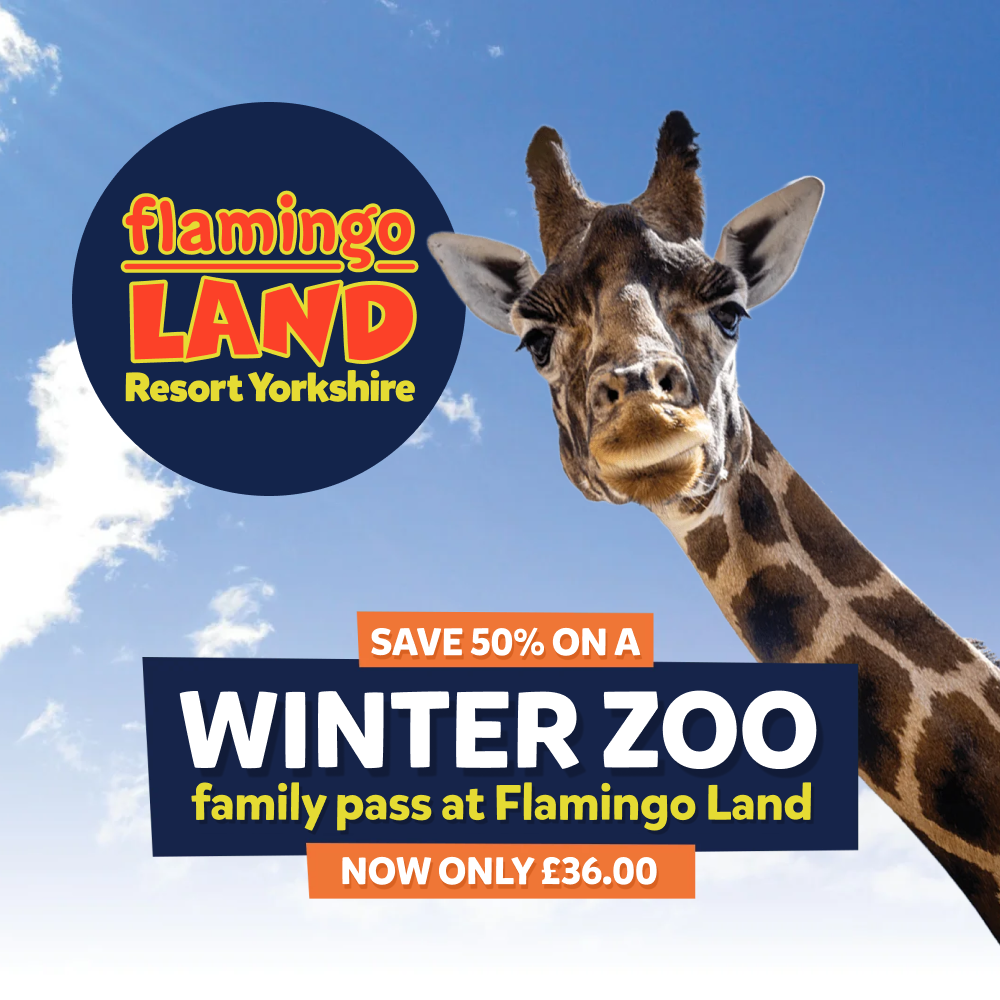 Flamingo Land - Half Price Winter Zoo Family Pass 2026