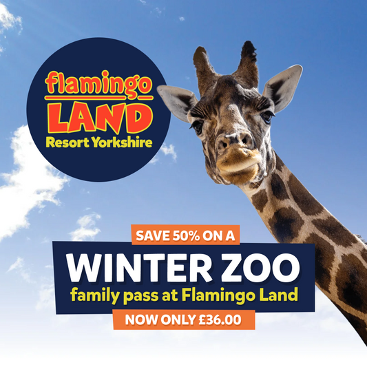 Flamingo Land - Half Price Winter Zoo Family Pass 2026