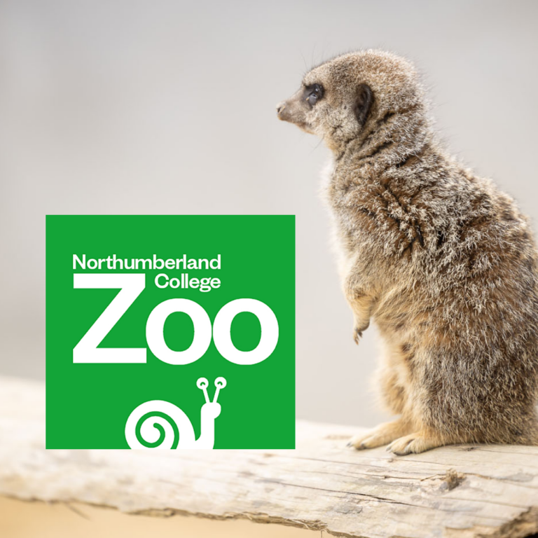 Northumberland College Zoo Family Ticket - save over 40%