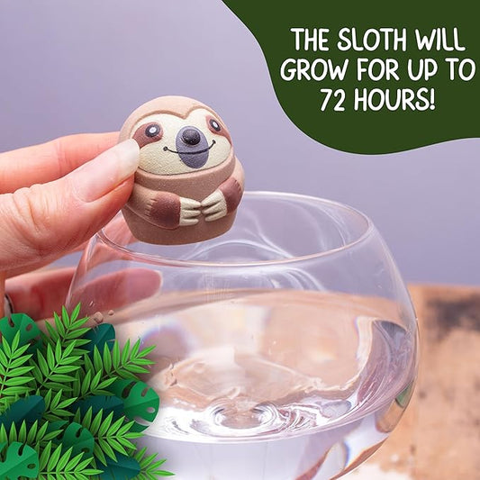 Grow a Sloth Toy